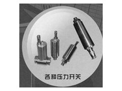 華瑞傳感廠價(jià)供應(yīng)各種壓力開關(guān)