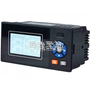 Y2100E單色無(wú)紙記錄儀