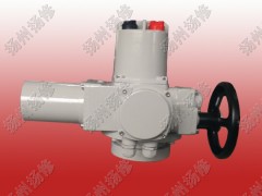 部分回轉(zhuǎn)電動(dòng)執(zhí)行器DQW90 DQW120 DQ