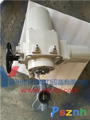 電動(dòng)蝶閥-DQW-1