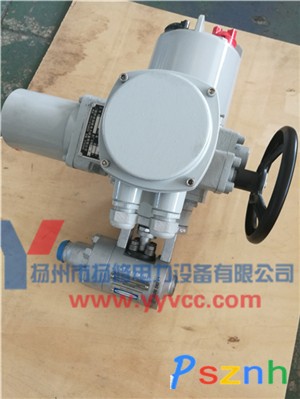 進(jìn)口電動(dòng)球閥-7