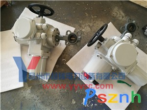 電動(dòng)蝶閥-DQW-2