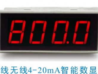 二線制無源型可編程控制4-20mA回路數(shù)顯表