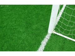 新式的人造草坪|河北華飛體育設(shè)施—
