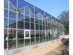 沖刺，紋洛式玻璃溫室大棚，連棟薄