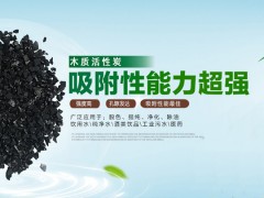雅安地區(qū)服務(wù)高效的活性炭項(xiàng)目——