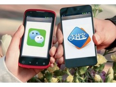 專業(yè)的移動(dòng)支付技術(shù)提供者——江蘇