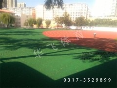 廣東省梅州市塑膠跑道|塑膠跑道廠家