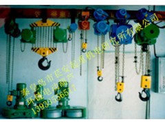 【實力廠家】生產(chǎn)供應(yīng)環(huán)鏈電動葫蘆_