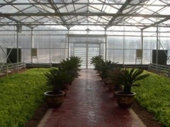 qiy，連棟薄膜溫室大棚建造商，山東