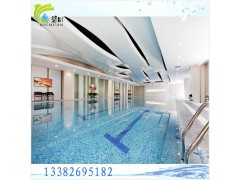 徐州泳池水循環(huán)處理裝置