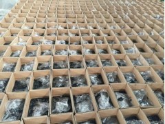 遼寧灌縫膠|批發(fā)供應(yīng)廠商熠道科技值