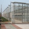 溫室大棚建造找哪家，玻璃智能溫室工程