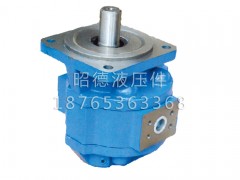 【看過來！】廈工XG951裝載機轉(zhuǎn)向泵