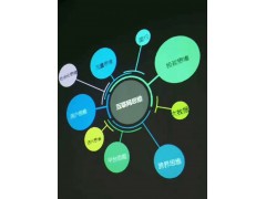 微信支付寶支付移動(dòng)支付技術(shù)提供者