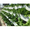 樹(shù)形蔬菜栽培-專(zhuān)業(yè)的無(wú)土栽培供應(yīng)商推薦