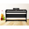 錦樂電子專業(yè)供應(yīng)凱麗德鋼琴，報(bào)價(jià)合理的電子鋼琴