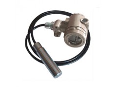 沃克爾廠價供應投入式液位計，可測