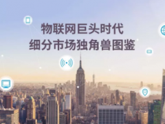 物聯(lián)網(wǎng)巨頭時(shí)代下細(xì)分市場(chǎng)獨(dú)角獸圖鑒
