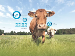 物聯(lián)網(wǎng)之“春”