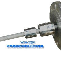頂裝式雙液位界面防爆磁致伸縮液位計(jì)