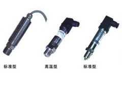 瑞德龍測控儀表供應(yīng)  TS-802系列壓