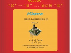 深圳小卓科技有限公司 經(jīng)理王長青 2020新春寄語 一百零八星報(bào)喜之地然星