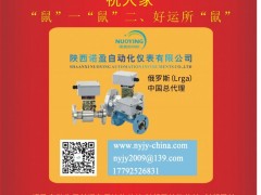 陜西諾盈自動(dòng)化儀表  總經(jīng)理  李軍榮2020新春寄語 一百零八星報(bào)喜之地樂星