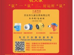 九星儀表 總經(jīng)理 王書彬 2020新春寄語 一百零八星報(bào)喜之地勇星