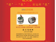 西安森瑟斯傳感器總經(jīng)理  崔衛(wèi)2020新春寄語(yǔ) 一百零八星報(bào)喜之地滿星