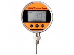 寶雞市普瑞思電子PYB118高精度數(shù)字