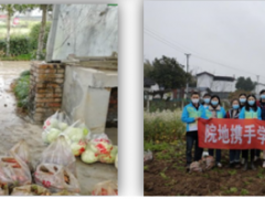 學(xué)習(xí)雷鋒好榜樣，團(tuán)員青年獻(xiàn)愛心