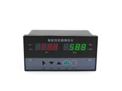 北京澳升AS-D823雙回路控制儀