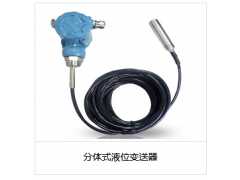分體式液位變送器