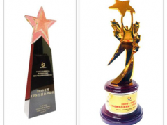 喜訊！英威騰電源獲得兩項UPS供配電系統(tǒng)行業(yè)發(fā)展榮譽(yù)