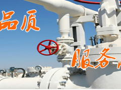 廈門(mén)精川 渦街流量計(jì)初次安裝注意事項(xiàng)及日常的維護(hù)保養(yǎng)