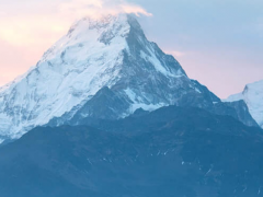 數(shù)字新基建，線上新經(jīng)濟 上海電氣“吸睛”上交會海外展