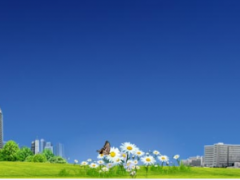 蘇州計量測試院“數(shù)字指示秤能力驗證”取得滿意結(jié)果