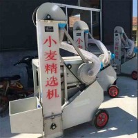 小型糧食自動(dòng)精選機(jī) 大豆震動(dòng)精選機(jī) 電動(dòng)小麥精選機(jī)