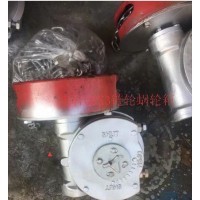 帶鏈條閥門蝸輪箱QDX3-6煤化工閥門帶鏈輪蝶閥減速機(jī)