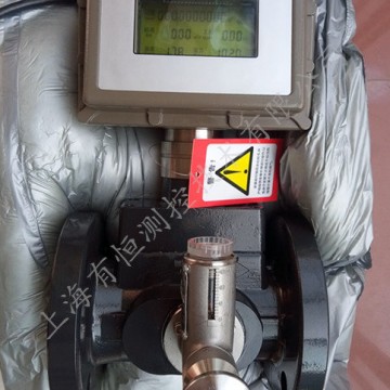 氮?dú)鉁u輪流量計(jì)|上海有恒流量計(jì)質(zhì)量