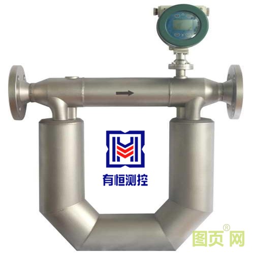 科里奧利質(zhì)量流量計