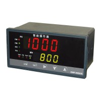 溫州新樂儀器儀表_XWP-ND835系列