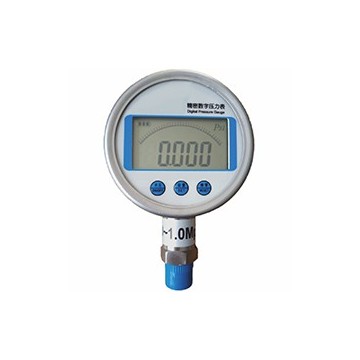 精密數(shù)字壓力表