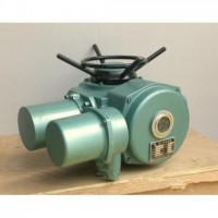 DZW15-24 電動(dòng)執(zhí)行機(jī)構(gòu)