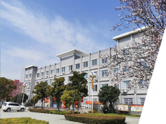 智能技術(shù) 助力發(fā)展 南陽副市長一行蒞臨微特電機進行視察調(diào)研