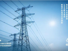 實現(xiàn)碳達峰 邁向碳中和 大華股份助力實現(xiàn)“雙碳”目標綠色發(fā)展