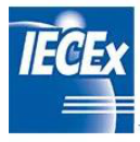 儀器儀表認證標識(二)(圖6)