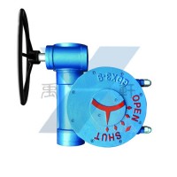 QDX3-S10雙級(jí)渦輪傳動(dòng)裝置,DN1000蝶閥手動(dòng)蝸輪頭