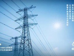 錨定“雙碳”目標，大華股份蹄疾步穩(wěn)踐行綠色發(fā)展